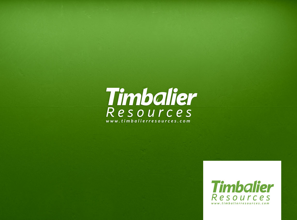 Logo Design by nikkiblue for this project | Design #28446689