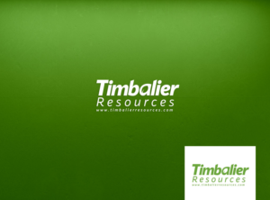Logo Design by nikkiblue for this project | Design: #28446689