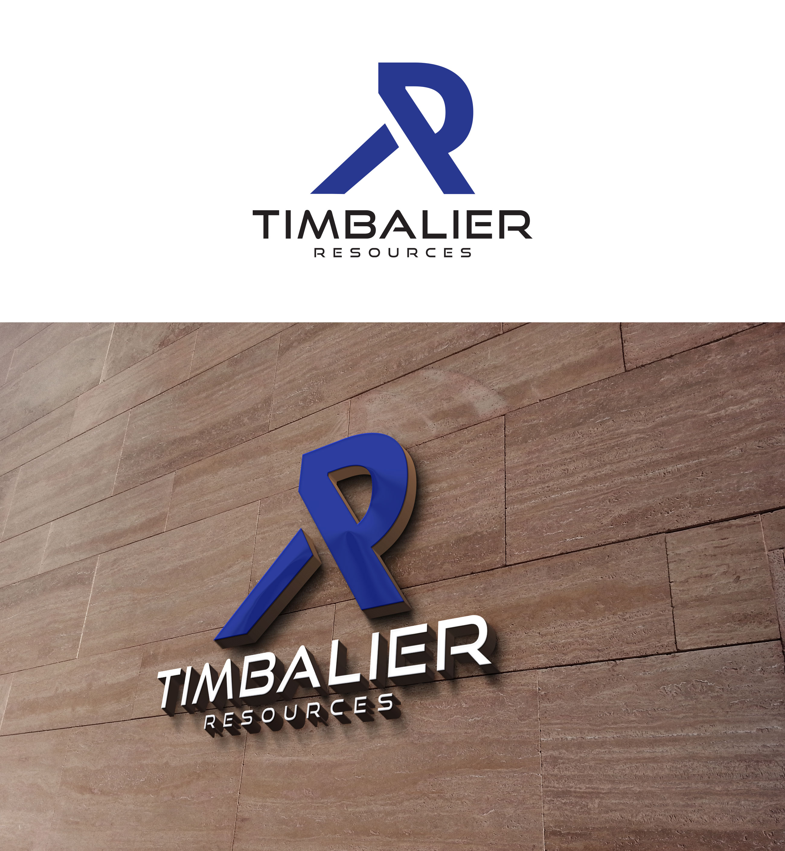 Serious, Professional Logo Design for Timbalier Resources by wdesigner2