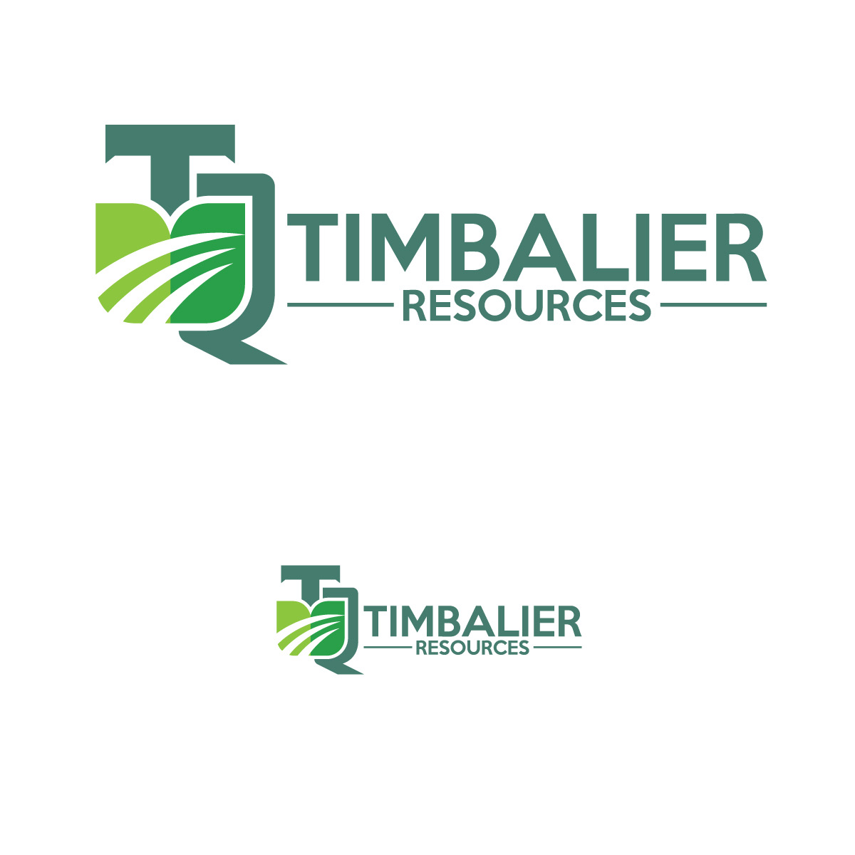 Logo Design by brand maker for this project | Design #28414698