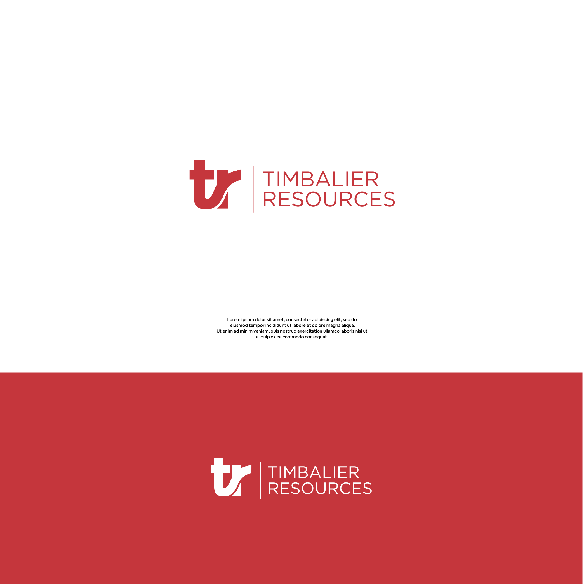 Logo Design by DesignFirst for this project | Design #28415825