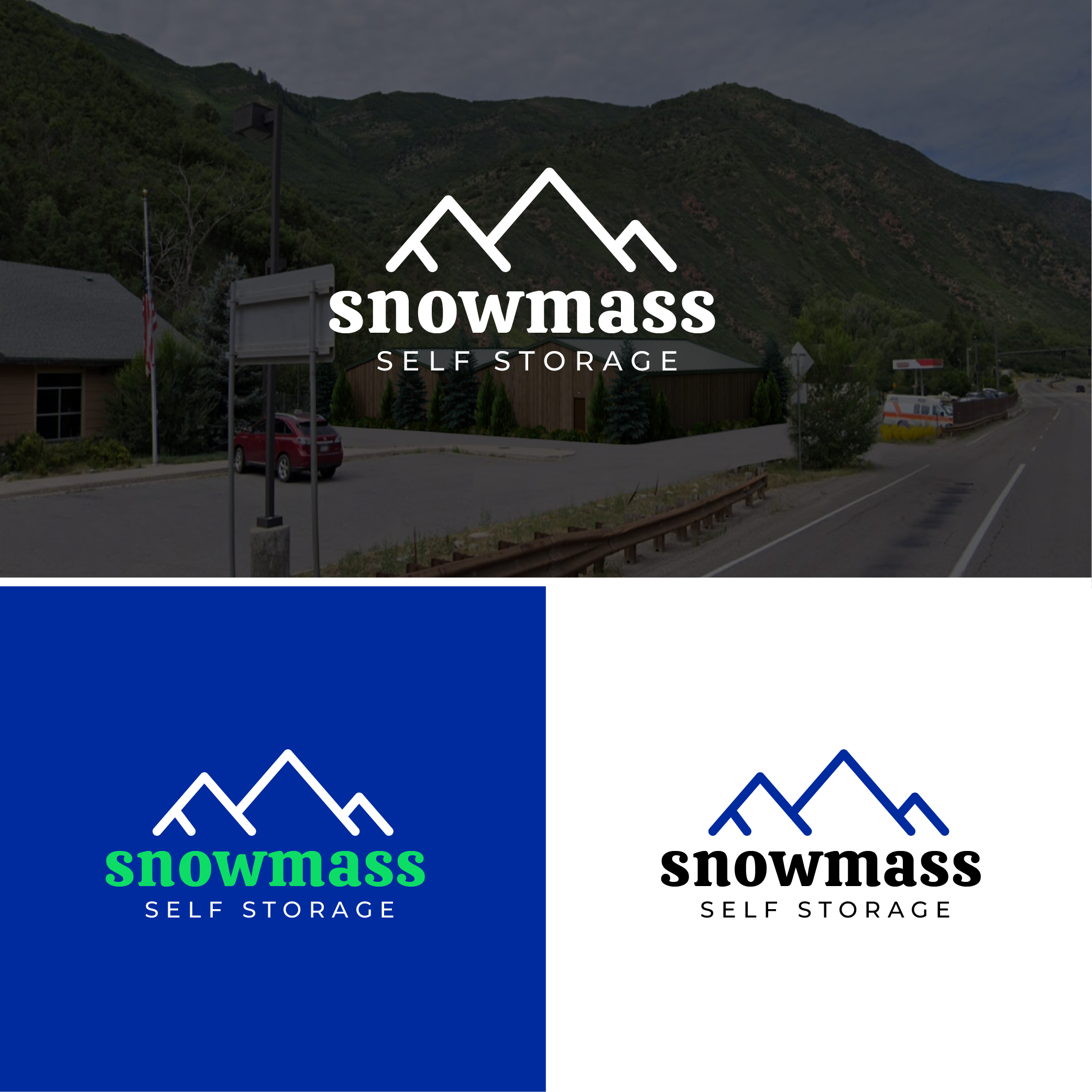 Logo Design by Wahyu Araf for Forrest Partners LLC | Design #28443968