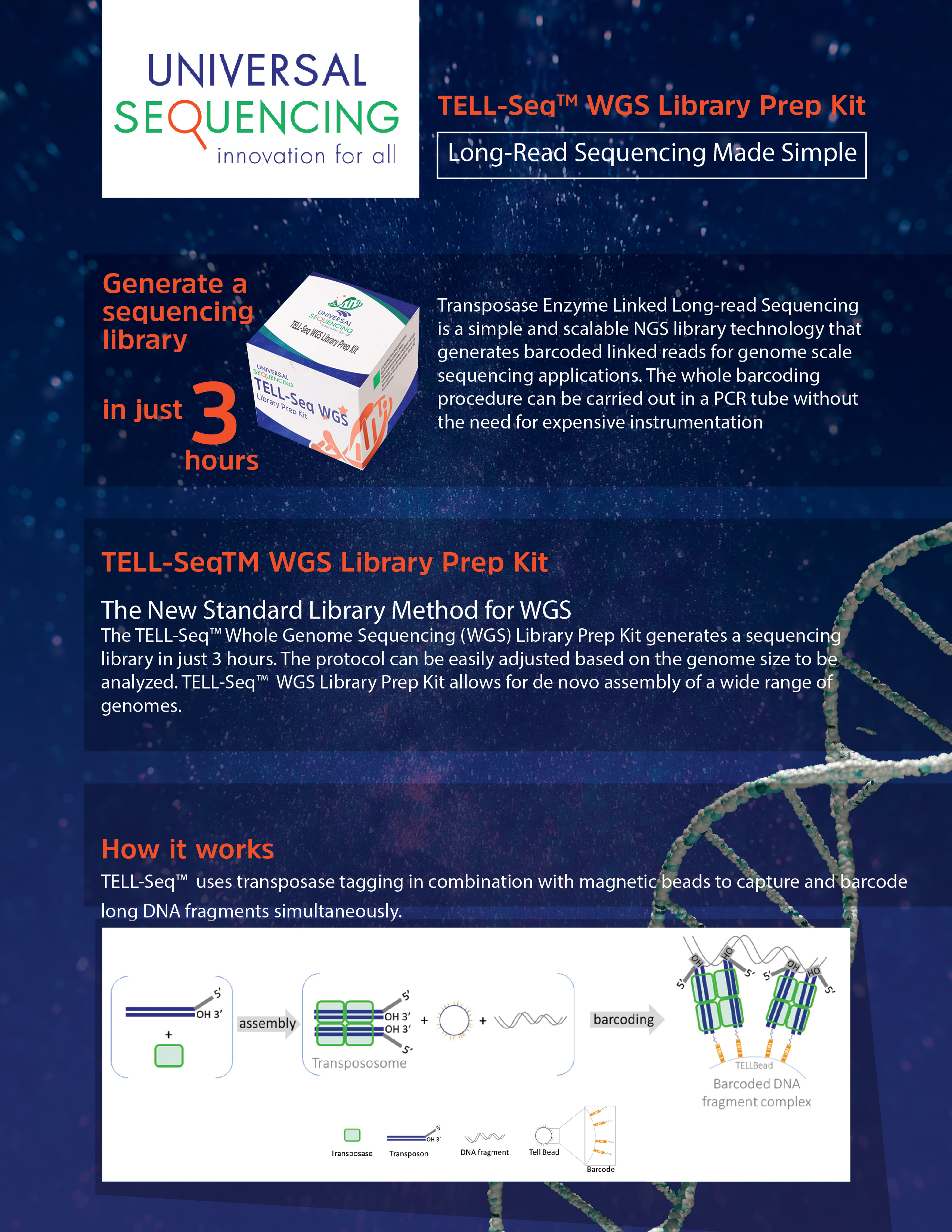 Diseño de Flyer por ganz abecia para este proyecto | Diseño #28449225