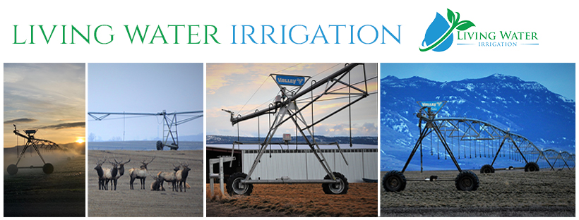 Diseño de Facebook por aj para este proyecto | Diseño #28423254