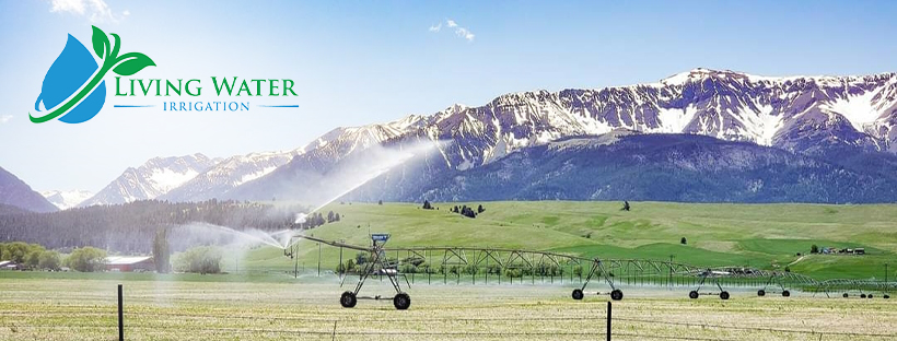 Diseño de Facebook por aj para este proyecto | Diseño #28423695