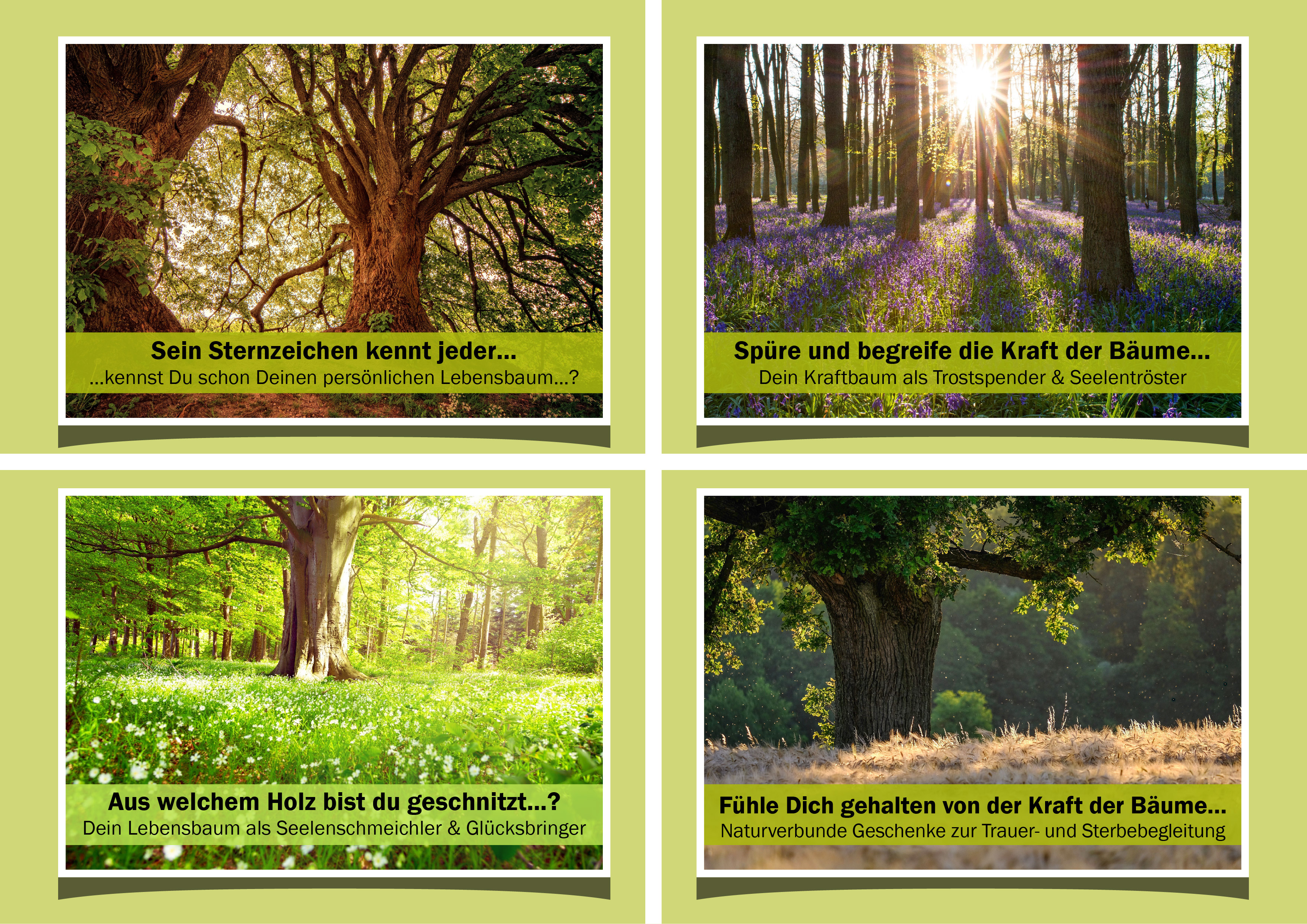 Diseño Gráfico por Mario 11 para este proyecto | Diseño #28452739