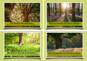 Graphic Design by Mario 11