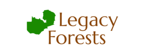 Logo Design by Brandon DZ