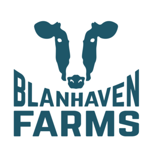 Logo Design by Brandon DZ