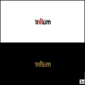 Diseño de Logo por Origami visual para este proyecto | Diseño: #28433055