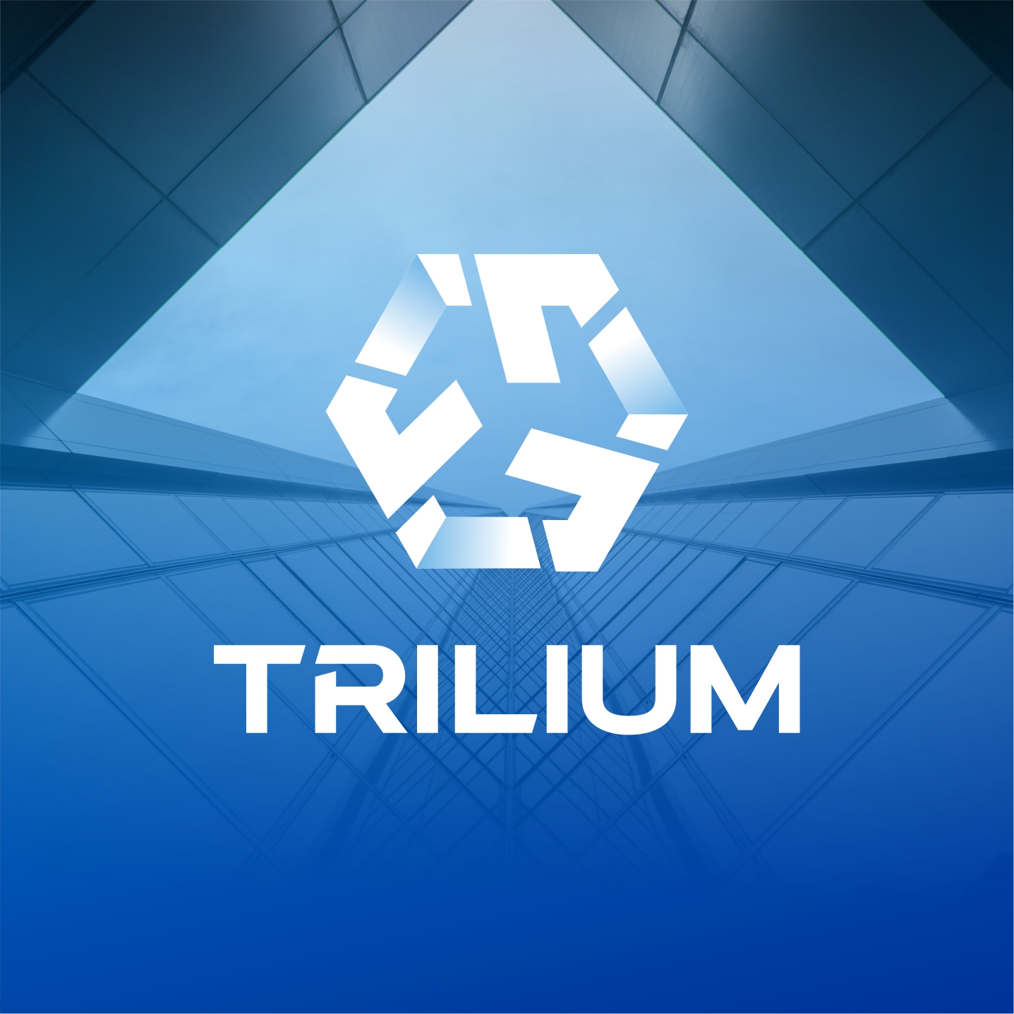 Logo Design by X-DNA for this project | Design #28433446