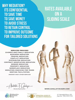 Flyer Design by AnninWonderland for Ghalayini-ADR | Design: #28472022