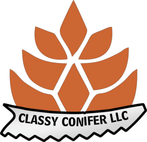 Logo Design by Rockyshen007 for Classy Conifer | Design: #28443218