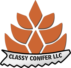 Logo Design by Rockyshen007 for Classy Conifer | Design: #28443219