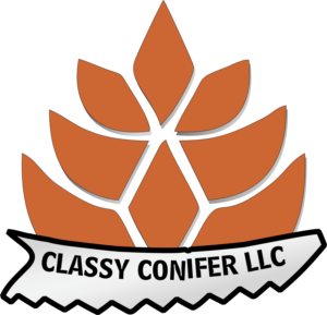 Logo Design by Rockyshen007