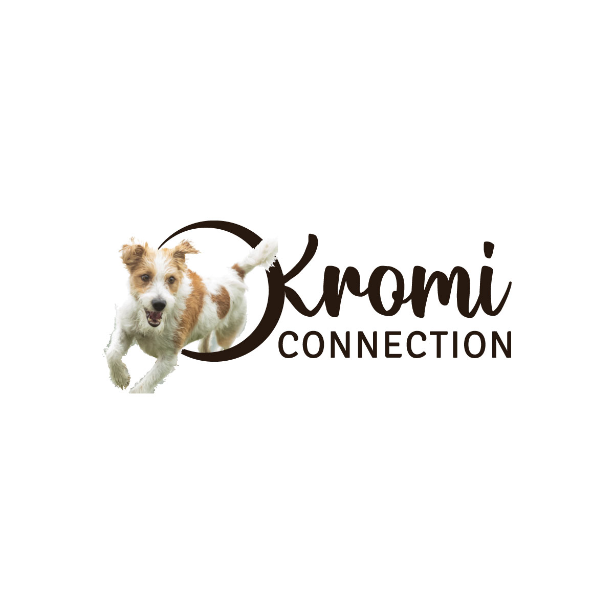 Diseño de Logo por LAXMI DESIGNHUB para este proyecto | Diseño #28447774