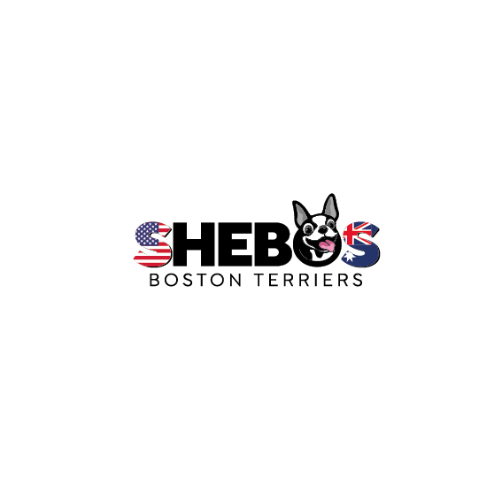 Design de Logo par creativeDAGA pour Shebos Boston Terriers | Design #28450626