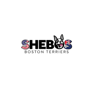 Logo Design by creativeDAGA for Shebos Boston Terriers | Design: #28455504