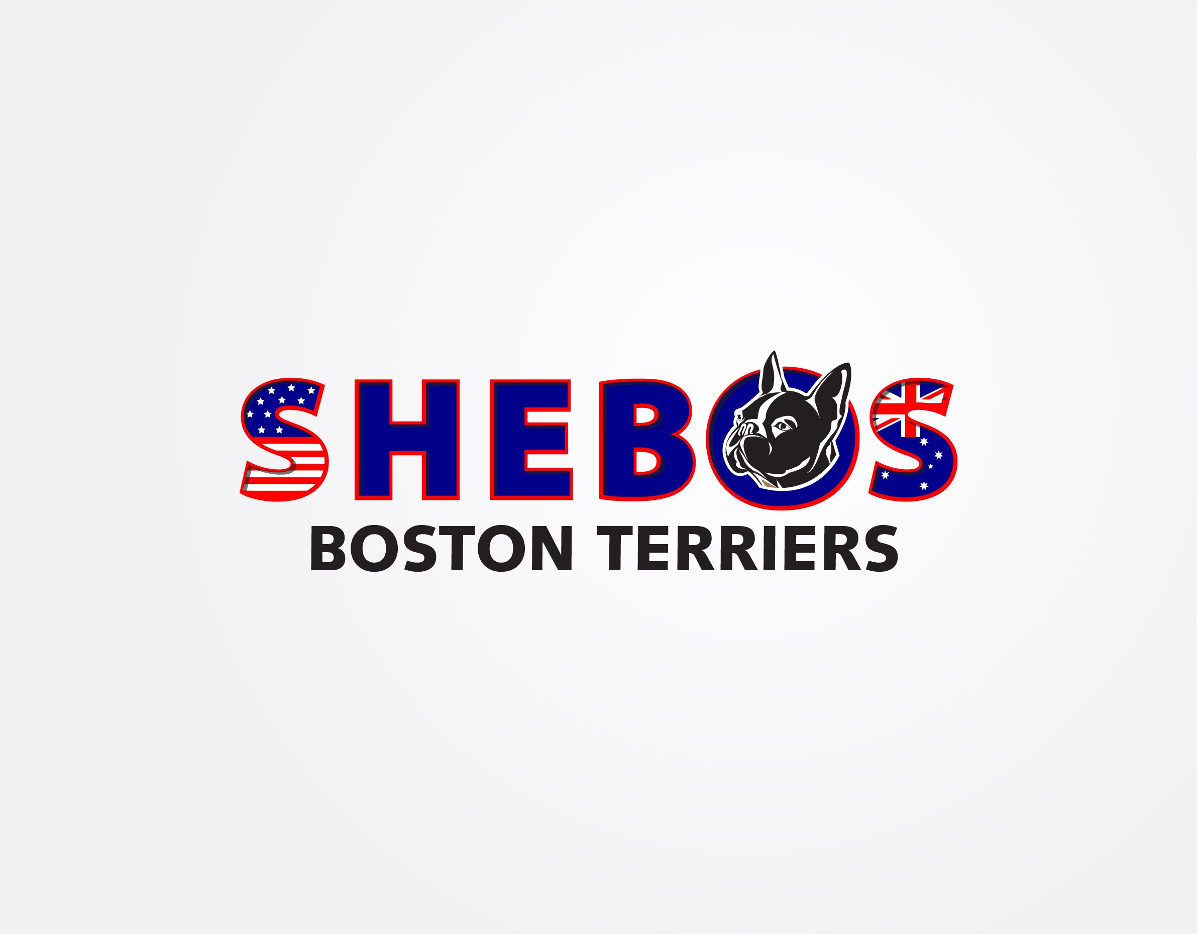 Logo Design by Kira Graphics for Shebos Boston Terriers | Design #28455977