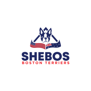 Logo-Design von LAXMI DESIGNHUB für Shebos Boston Terriers | Design: #28451242