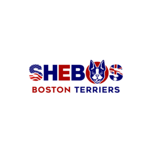 Logo-Design von LAXMI DESIGNHUB für Shebos Boston Terriers | Design: #28453356