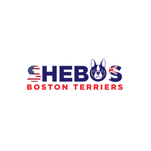 Logo-Design von prodesigns99 für Shebos Boston Terriers | Design: #28455370