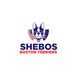 Logo-Design von prodesigns99 für Shebos Boston Terriers | Design: #28455371