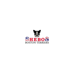 Logo Design by SHbro for Shebos Boston Terriers | Design: #28454117