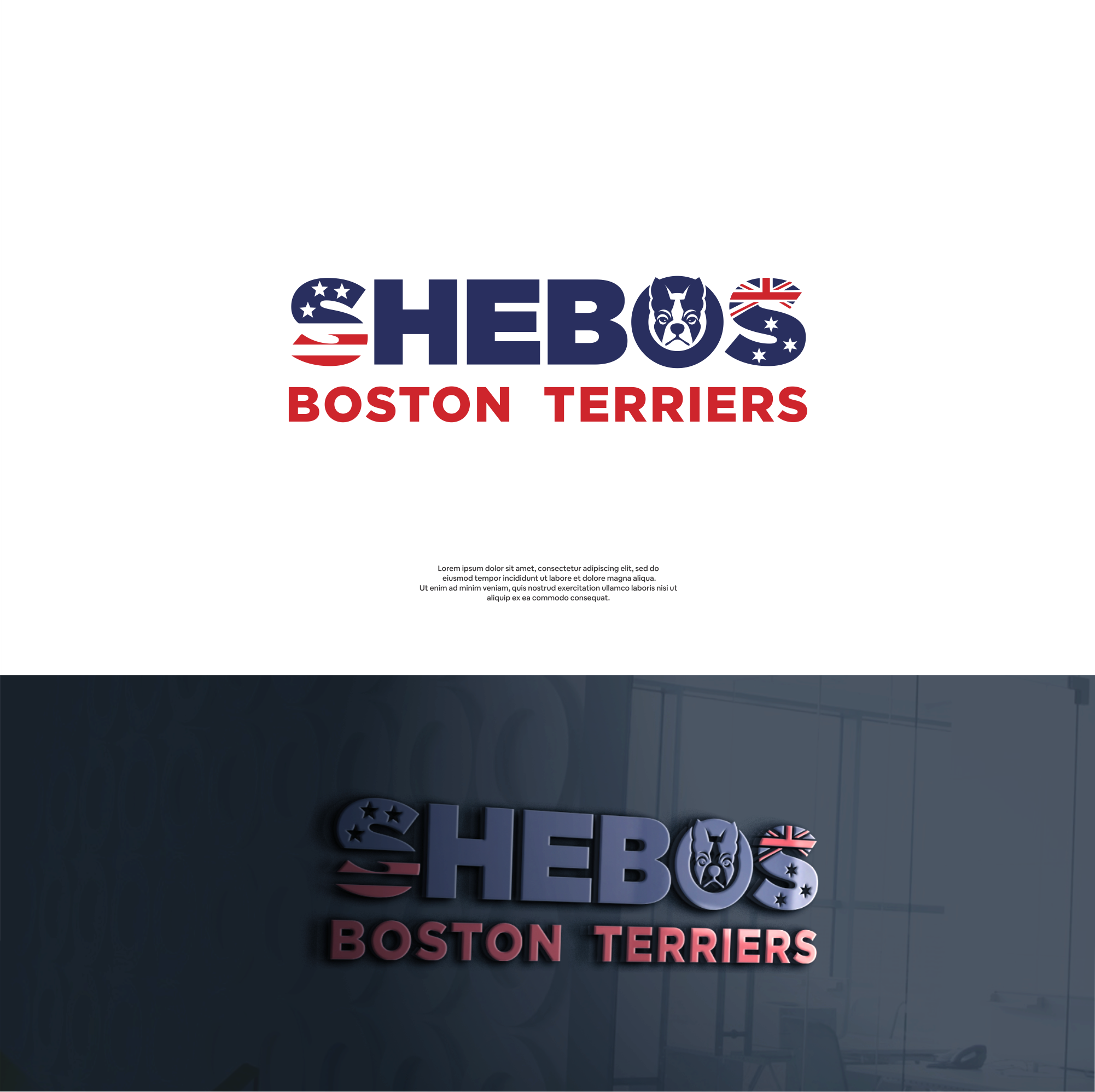 Logo Design by DesignFirst for Shebos Boston Terriers | Design #28451324