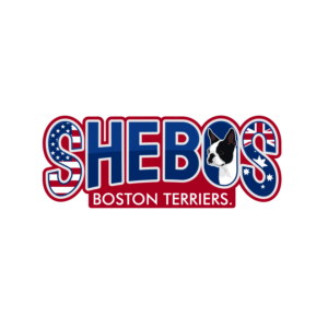 Logo Design by Helen Ramadhani for Shebos Boston Terriers | Design: #28452734