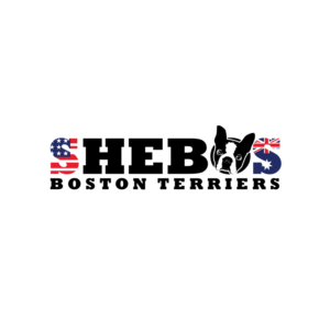 Logo-Design von geni für Shebos Boston Terriers | Design: #28452288