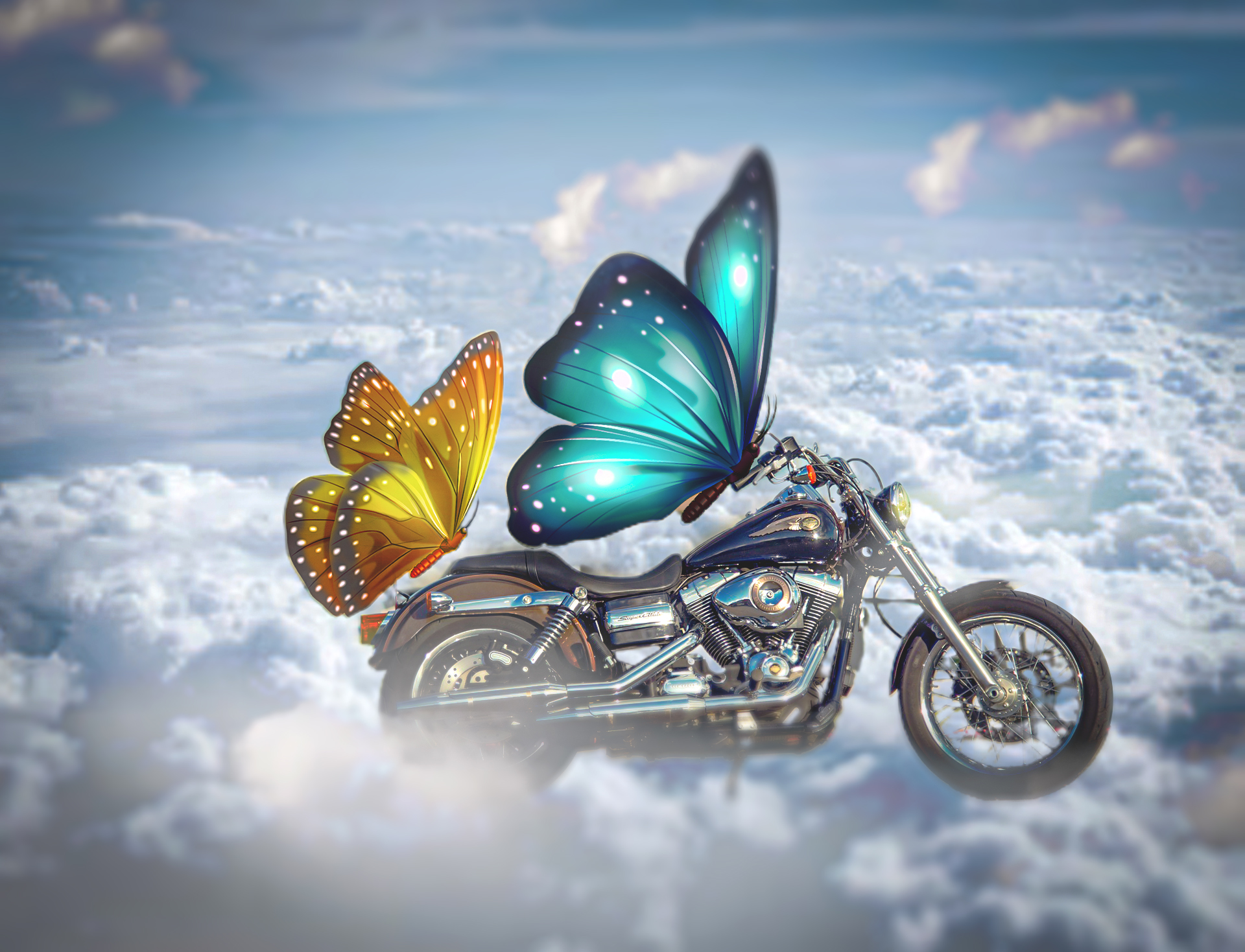 Graphic Design by Sushanta_Halder for this project | Design #28473852