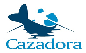 Logo Design by Resolution -  Artistic Production Services