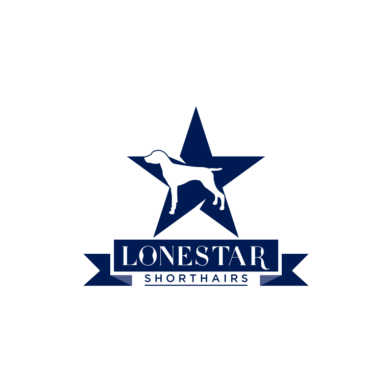 Logo Design by Ansh Design for this project | Design #28453327