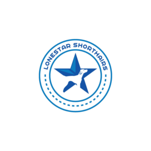 Logo Design by Ansh Design for this project | Design: #28453328