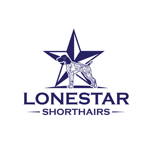 Diseño de Logo por geni para este proyecto | Diseño #28474697