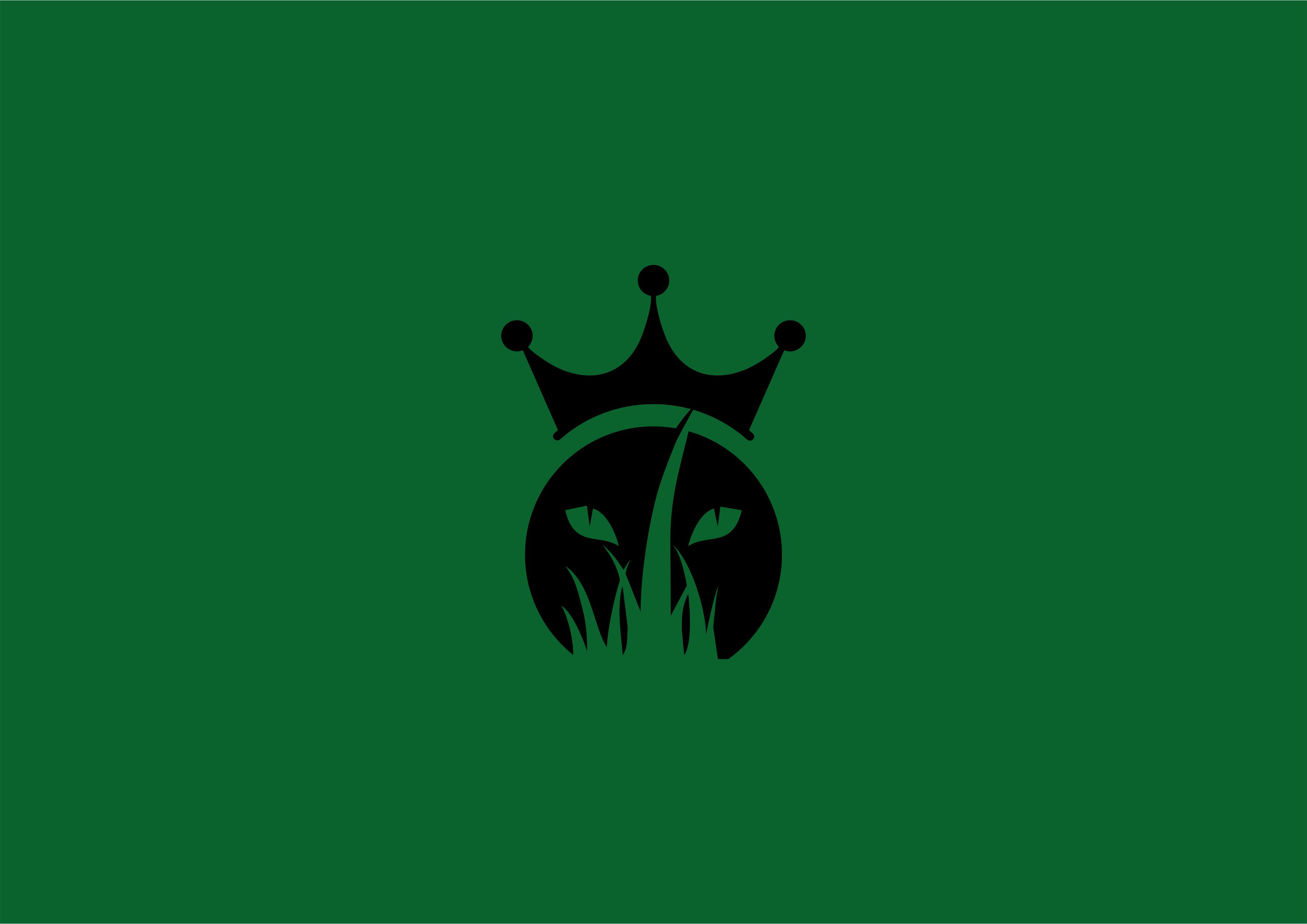 Logo-Design von aniafai für dieses Projekt | Design #28461624