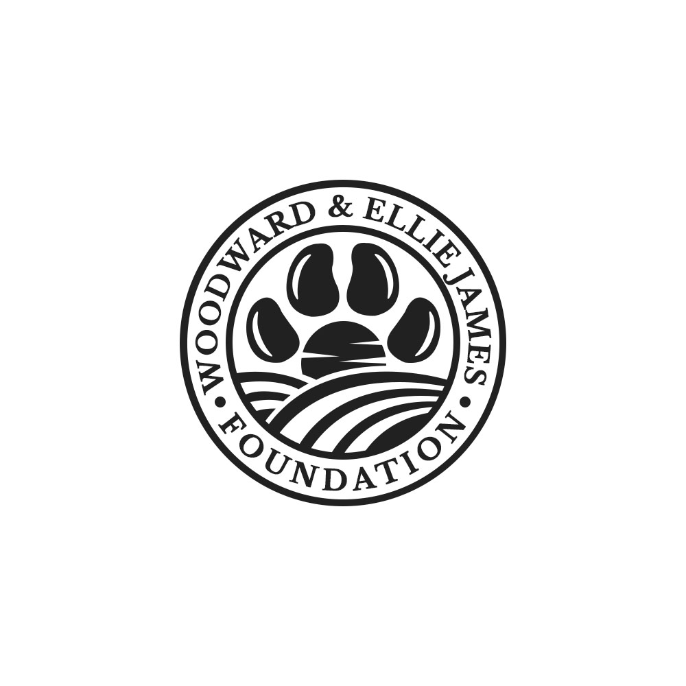 Diseño de Logo por PsyPen para este proyecto | Diseño #28458176