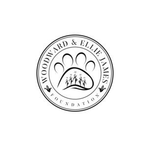 Design de Logo par geni pour ce projet | Design : #28457040