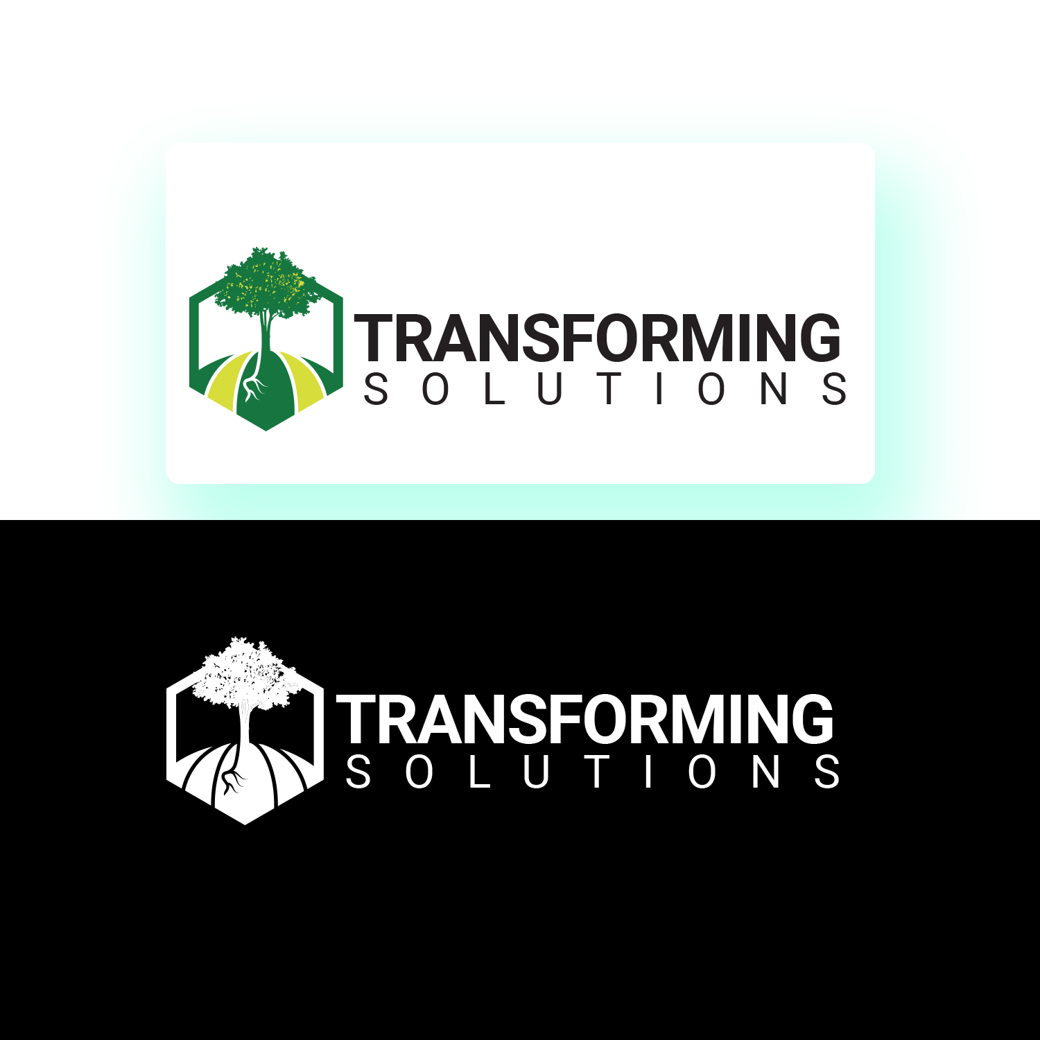 Logo Design by Finley Johnson for this project | Design #28462161