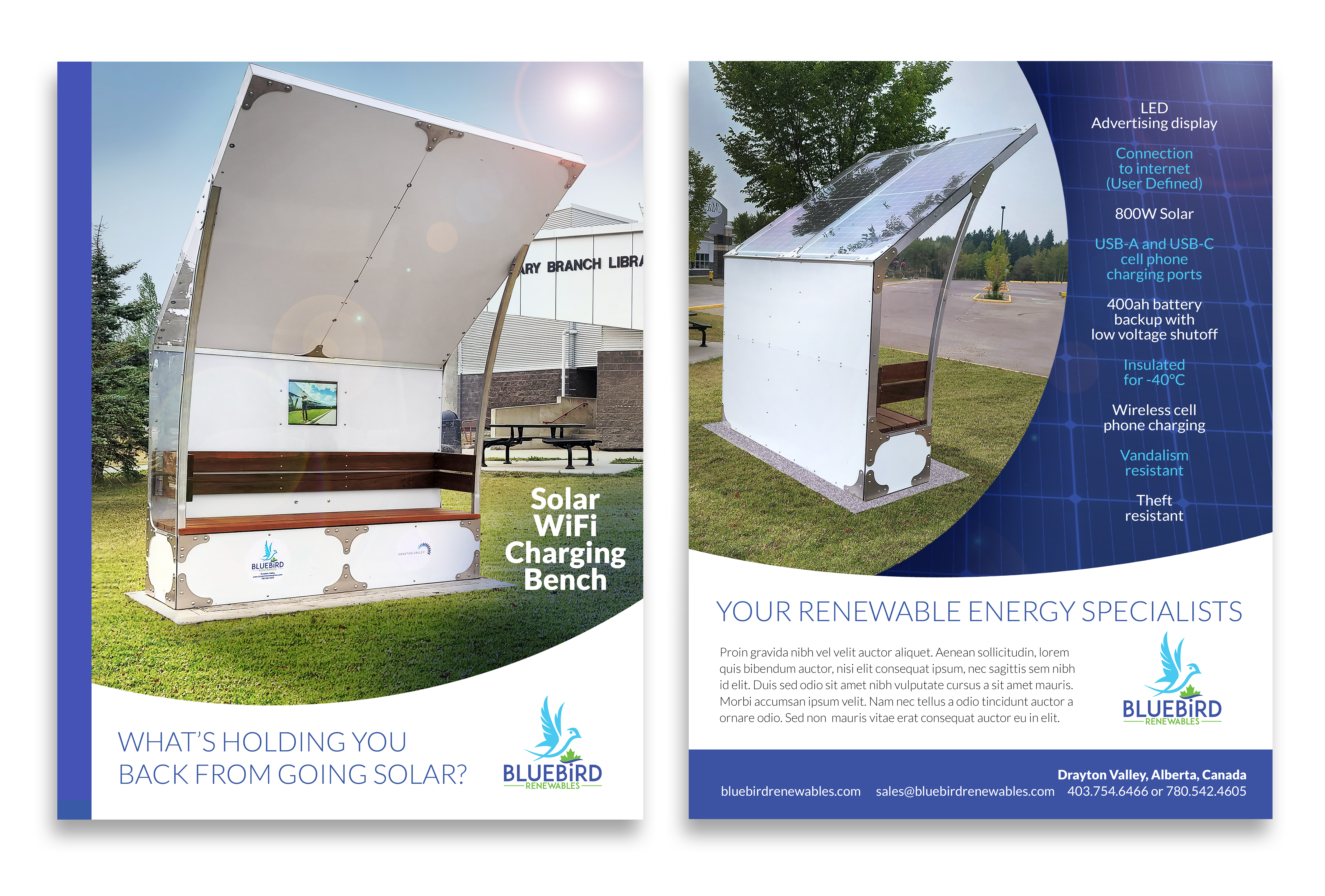 Flyer Design by see why for this project | Design #28458083