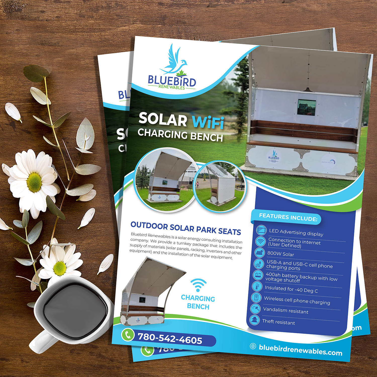 Diseño de Flyer por alex989 para este proyecto | Diseño #28463499