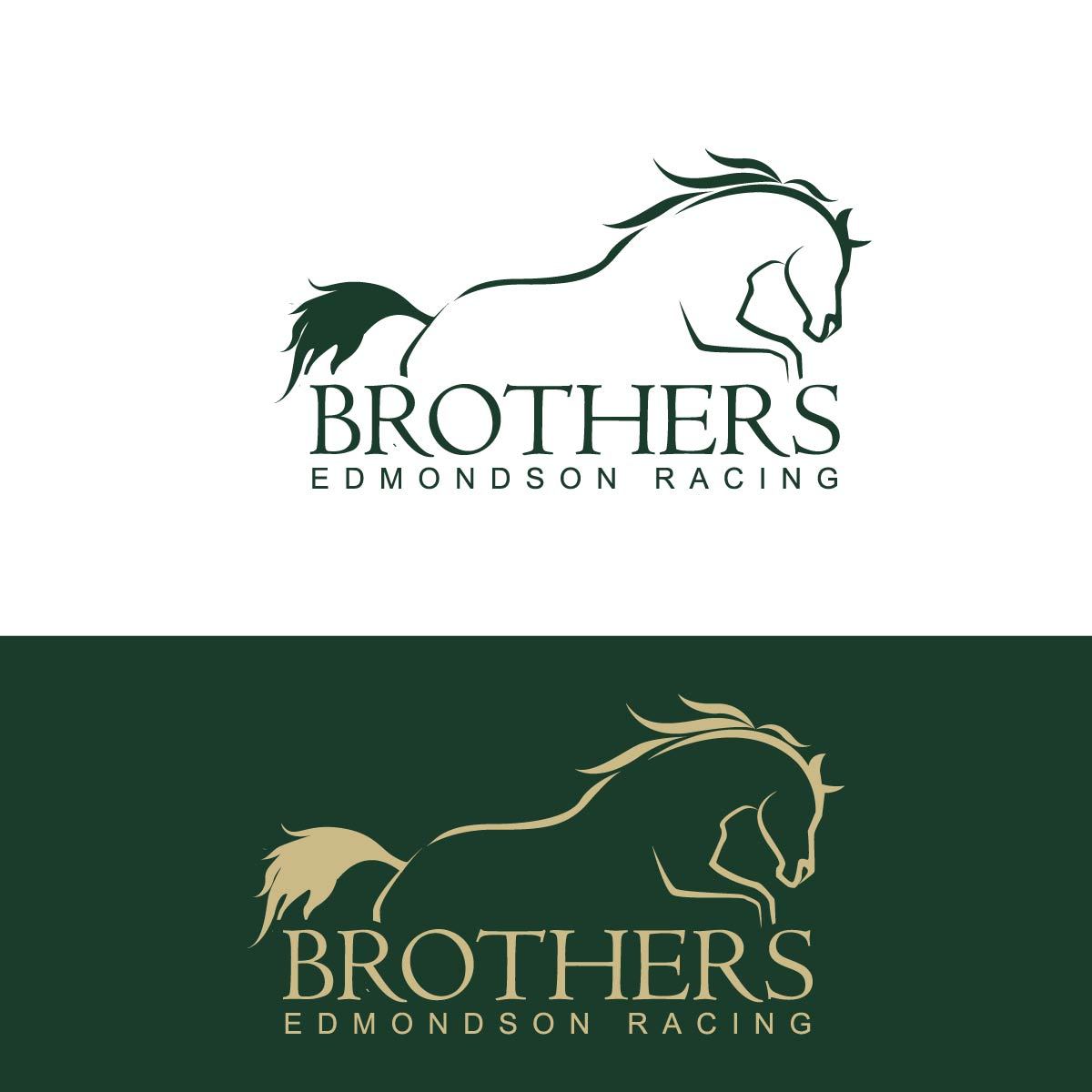 Logo Design by fly  design for this project | Design #28459216