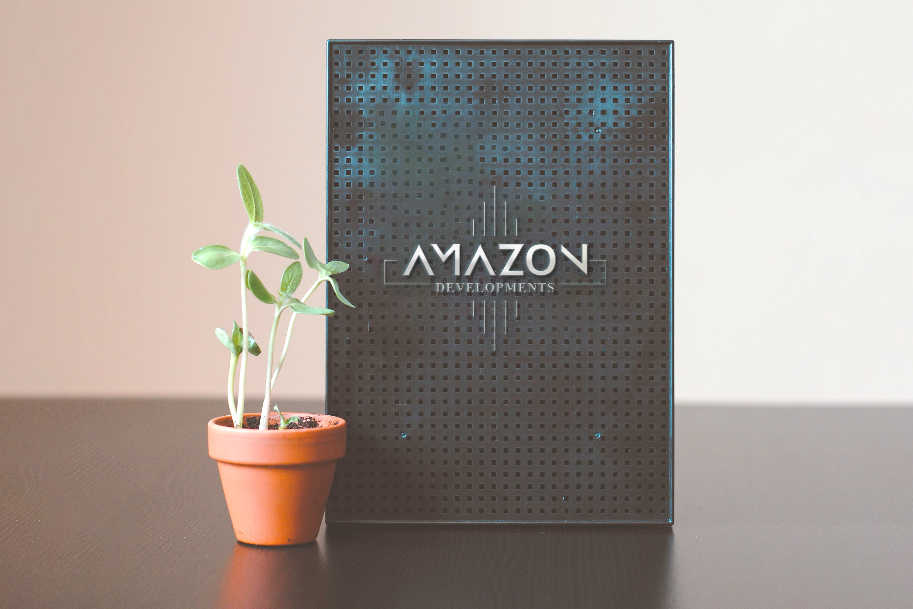 Logo Design by Shan for this project | Design #28461045