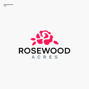 Diseño de Logo por JBalloon Design para este proyecto | Diseño: #28465767