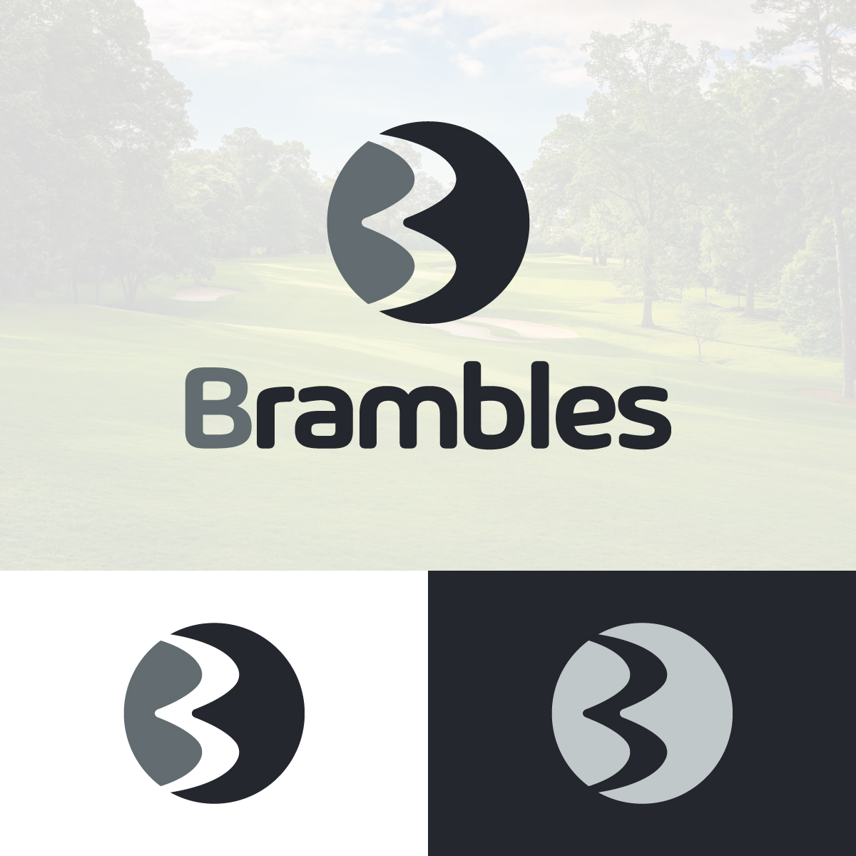 Design de Logo par EvoGo Designers pour ce projet | Design #28500467