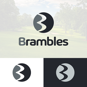 Design de Logo par EvoGo Designers pour ce projet | Design : #28500467