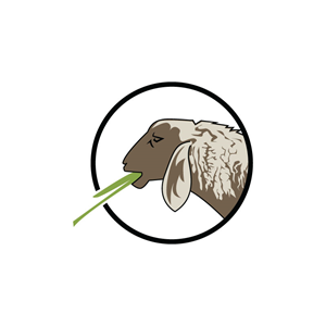 Design de Logo par Ansh Design pour ce projet | Design : #28471126