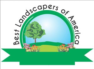 Logo Design by Mango
