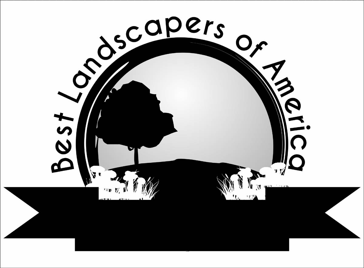 Logo Design by Mango for this project | Design #3100471